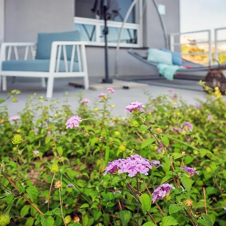 Apartment Sea View With Garden Joshua *